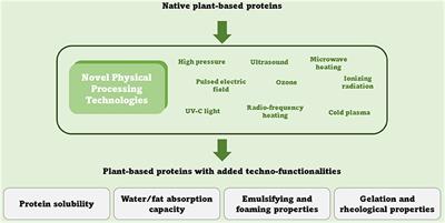 Plant-Based: A Perspective on Nutritional and Technological Issues. Are We Ready for “Precision Processing”?